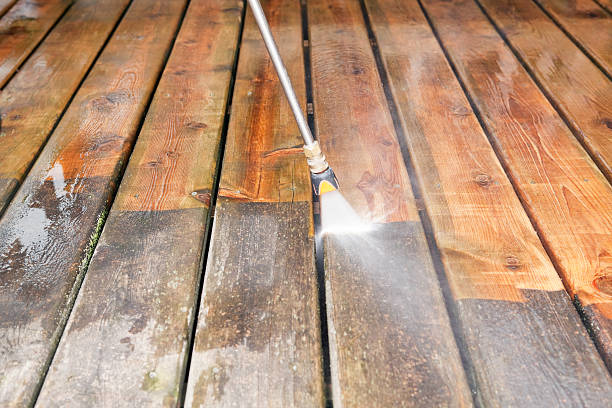 Best Roof Pressure Washing  in Napavine, WA